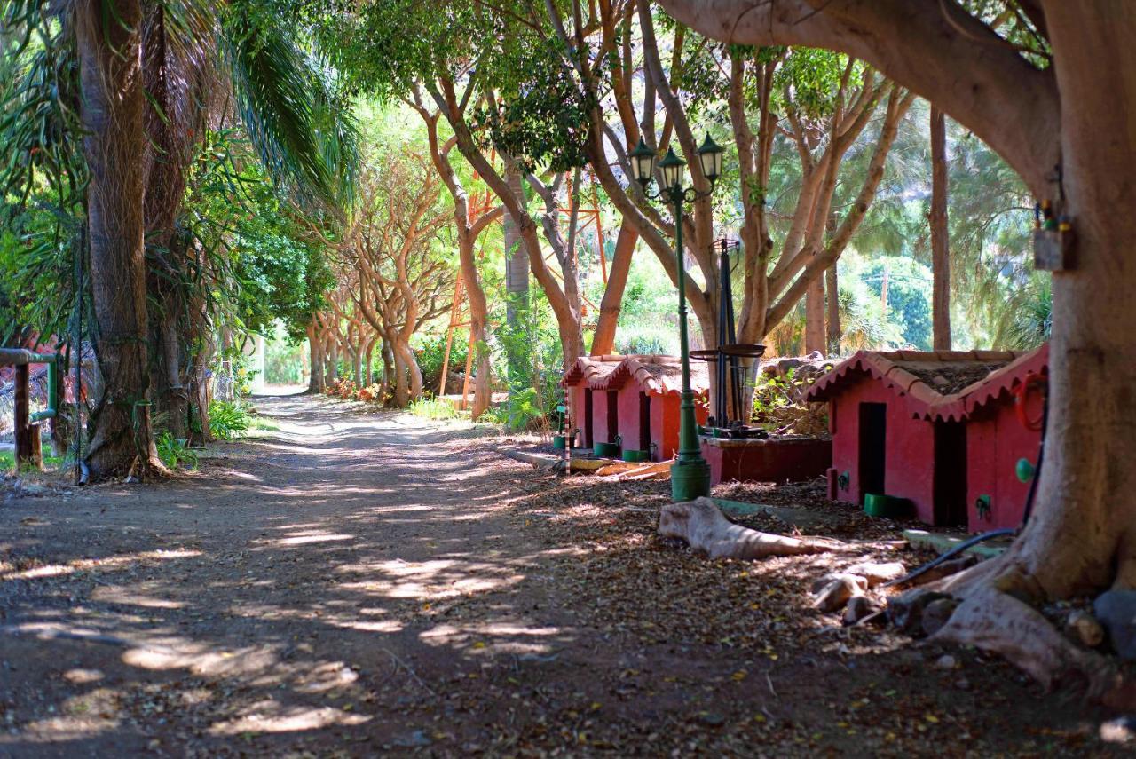 La Casa Del Molino De Viento Villa Agaete  Buitenkant foto